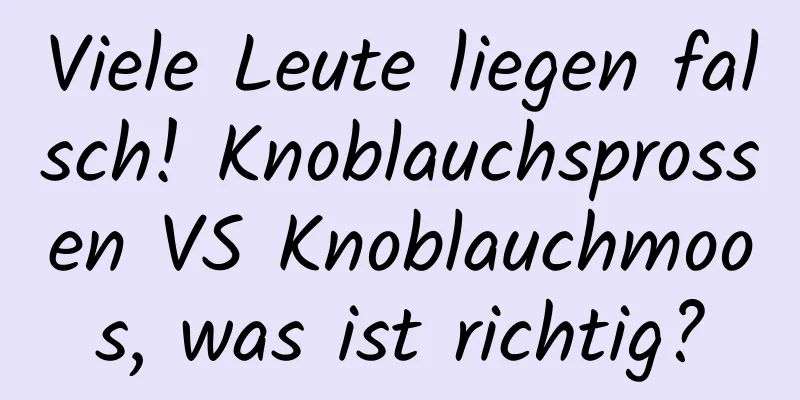 Viele Leute liegen falsch! Knoblauchsprossen VS Knoblauchmoos, was ist richtig?