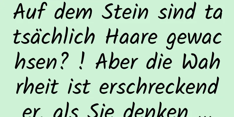 Auf dem Stein sind tatsächlich Haare gewachsen? ! Aber die Wahrheit ist erschreckender, als Sie denken ...
