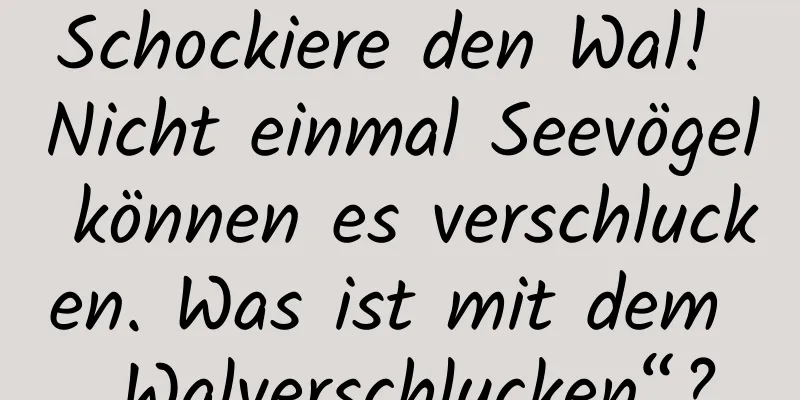 Schockiere den Wal! Nicht einmal Seevögel können es verschlucken. Was ist mit dem „Walverschlucken“?