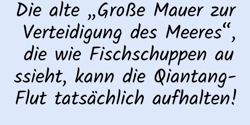 Die alte „Große Mauer zur Verteidigung des Meeres“, die wie Fischschuppen aussieht, kann die Qiantang-Flut tatsächlich aufhalten!