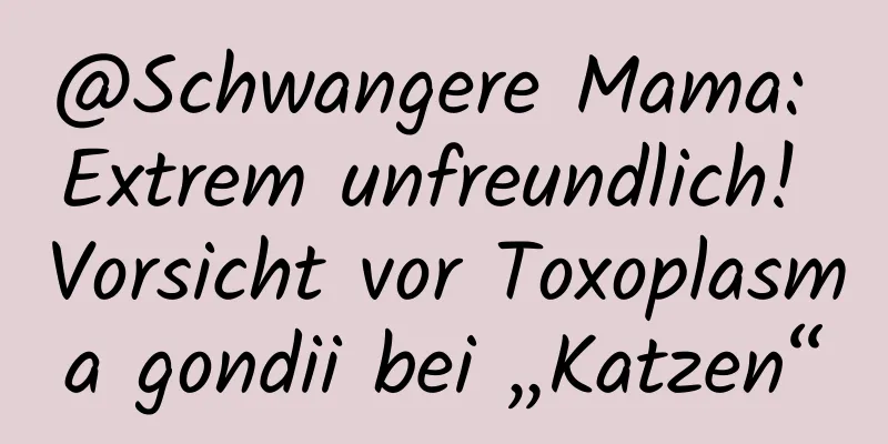 @Schwangere Mama: Extrem unfreundlich! Vorsicht vor Toxoplasma gondii bei „Katzen“