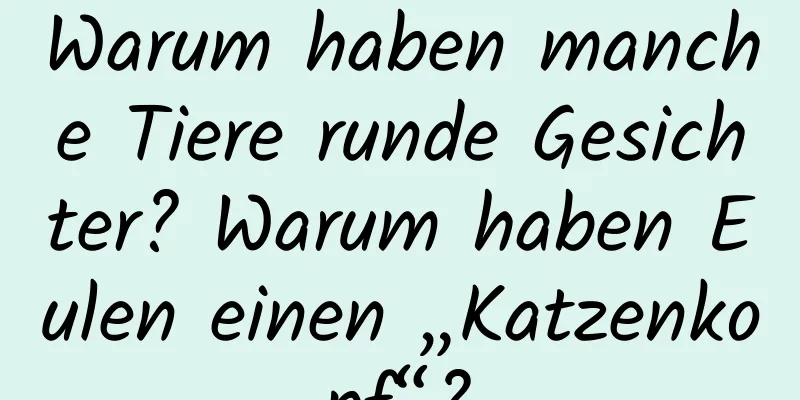 Warum haben manche Tiere runde Gesichter? Warum haben Eulen einen „Katzenkopf“?