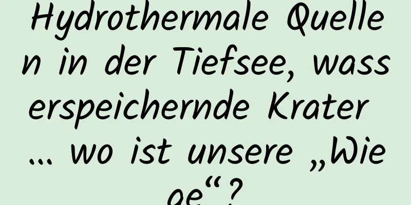 Hydrothermale Quellen in der Tiefsee, wasserspeichernde Krater … wo ist unsere „Wiege“?