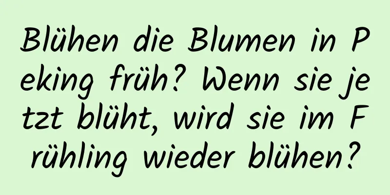 Blühen die Blumen in Peking früh? Wenn sie jetzt blüht, wird sie im Frühling wieder blühen?