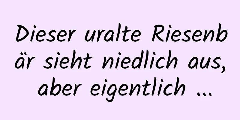Dieser uralte Riesenbär sieht niedlich aus, aber eigentlich ...