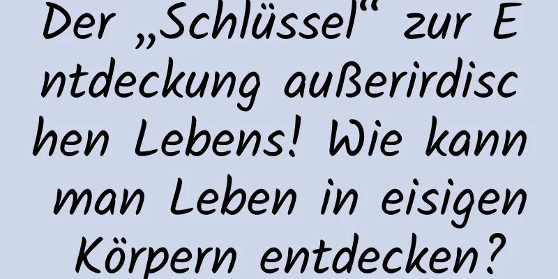 Der „Schlüssel“ zur Entdeckung außerirdischen Lebens! Wie kann man Leben in eisigen Körpern entdecken?