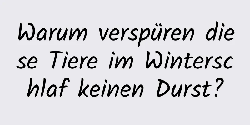 Warum verspüren diese Tiere im Winterschlaf keinen Durst?