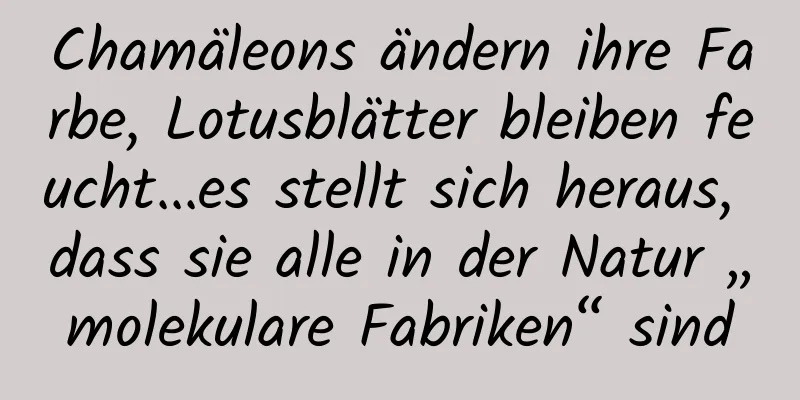 Chamäleons ändern ihre Farbe, Lotusblätter bleiben feucht...es stellt sich heraus, dass sie alle in der Natur „molekulare Fabriken“ sind