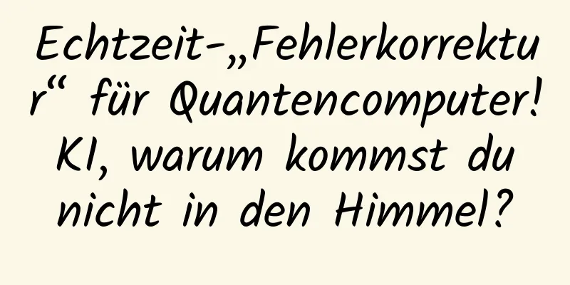 Echtzeit-„Fehlerkorrektur“ für Quantencomputer! KI, warum kommst du nicht in den Himmel?