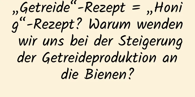 „Getreide“-Rezept = „Honig“-Rezept? Warum wenden wir uns bei der Steigerung der Getreideproduktion an die Bienen?