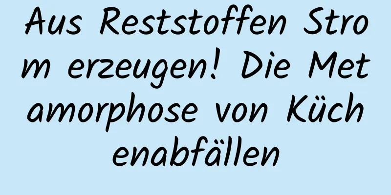 Aus Reststoffen Strom erzeugen! Die Metamorphose von Küchenabfällen