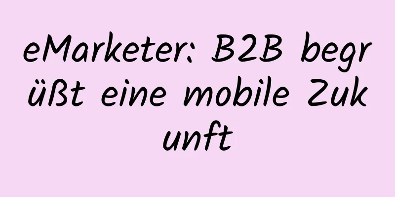 eMarketer: B2B begrüßt eine mobile Zukunft