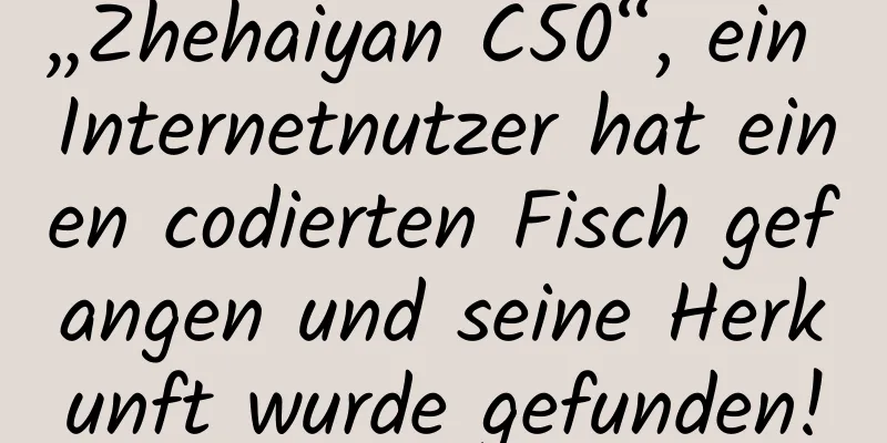 „Zhehaiyan C50“, ein Internetnutzer hat einen codierten Fisch gefangen und seine Herkunft wurde gefunden!