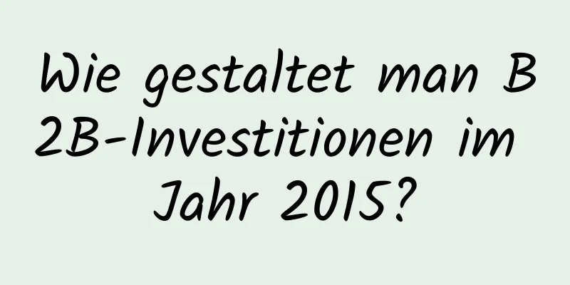 Wie gestaltet man B2B-Investitionen im Jahr 2015?