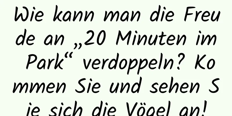 Wie kann man die Freude an „20 Minuten im Park“ verdoppeln? Kommen Sie und sehen Sie sich die Vögel an!