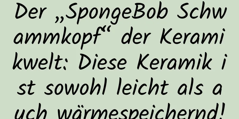 Der „SpongeBob Schwammkopf“ der Keramikwelt: Diese Keramik ist sowohl leicht als auch wärmespeichernd!