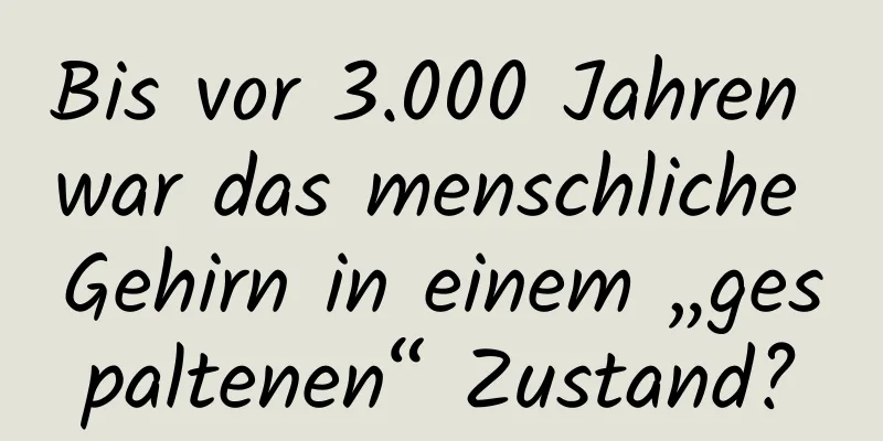 Bis vor 3.000 Jahren war das menschliche Gehirn in einem „gespaltenen“ Zustand?