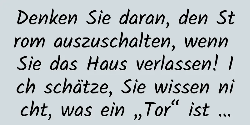 Denken Sie daran, den Strom auszuschalten, wenn Sie das Haus verlassen! Ich schätze, Sie wissen nicht, was ein „Tor“ ist …