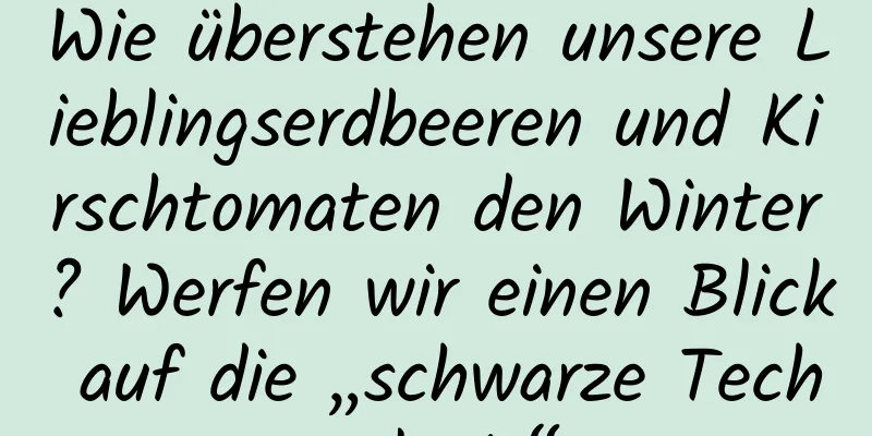 Wie überstehen unsere Lieblingserdbeeren und Kirschtomaten den Winter? Werfen wir einen Blick auf die „schwarze Technologie“
