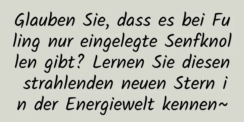 Glauben Sie, dass es bei Fuling nur eingelegte Senfknollen gibt? Lernen Sie diesen strahlenden neuen Stern in der Energiewelt kennen~