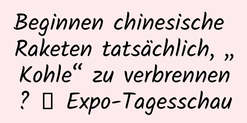 Beginnen chinesische Raketen tatsächlich, „Kohle“ zu verbrennen? ｜ Expo-Tagesschau