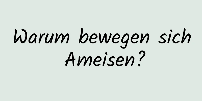 Warum bewegen sich Ameisen?