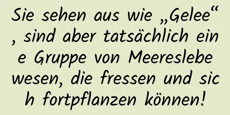 Sie sehen aus wie „Gelee“, sind aber tatsächlich eine Gruppe von Meereslebewesen, die fressen und sich fortpflanzen können!