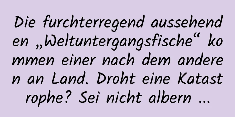 Die furchterregend aussehenden „Weltuntergangsfische“ kommen einer nach dem anderen an Land. Droht eine Katastrophe? Sei nicht albern ...