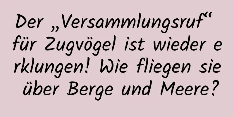 Der „Versammlungsruf“ für Zugvögel ist wieder erklungen! Wie fliegen sie über Berge und Meere?