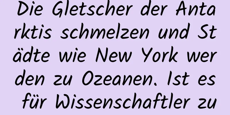 Die Gletscher der Antarktis schmelzen und Städte wie New York werden zu Ozeanen. Ist es für Wissenschaftler zu spät, sie zu retten?