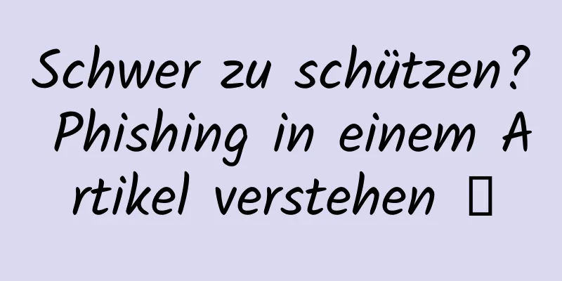 Schwer zu schützen? Phishing in einem Artikel verstehen →