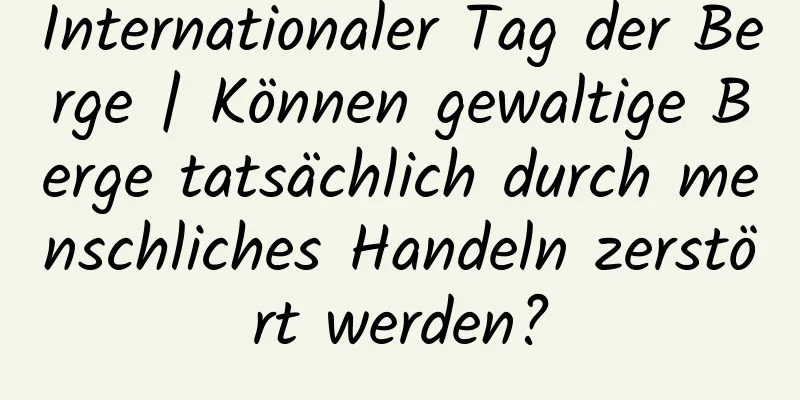 Internationaler Tag der Berge | Können gewaltige Berge tatsächlich durch menschliches Handeln zerstört werden?