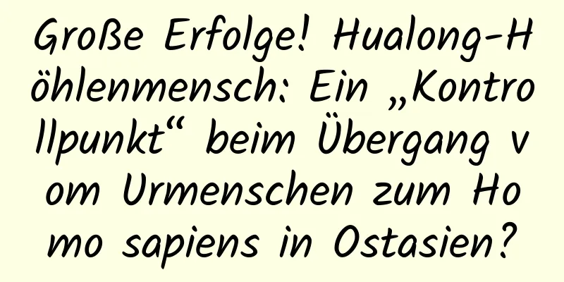 Große Erfolge! Hualong-Höhlenmensch: Ein „Kontrollpunkt“ beim Übergang vom Urmenschen zum Homo sapiens in Ostasien?
