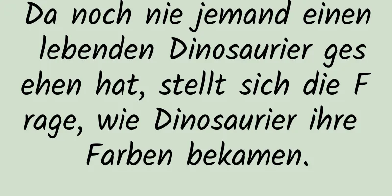 Da noch nie jemand einen lebenden Dinosaurier gesehen hat, stellt sich die Frage, wie Dinosaurier ihre Farben bekamen.
