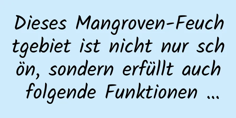 Dieses Mangroven-Feuchtgebiet ist nicht nur schön, sondern erfüllt auch folgende Funktionen …