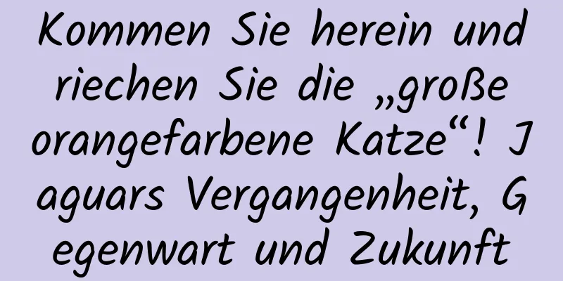 Kommen Sie herein und riechen Sie die „große orangefarbene Katze“! Jaguars Vergangenheit, Gegenwart und Zukunft