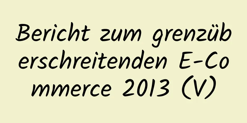 Bericht zum grenzüberschreitenden E-Commerce 2013 (V)