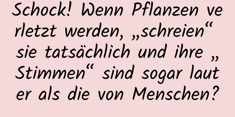 Schock! Wenn Pflanzen verletzt werden, „schreien“ sie tatsächlich und ihre „Stimmen“ sind sogar lauter als die von Menschen?
