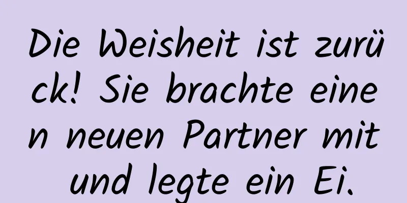 Die Weisheit ist zurück! Sie brachte einen neuen Partner mit und legte ein Ei.
