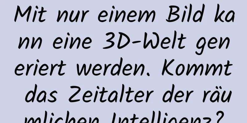 Mit nur einem Bild kann eine 3D-Welt generiert werden. Kommt das Zeitalter der räumlichen Intelligenz?