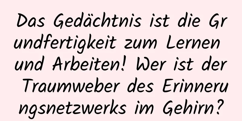 Das Gedächtnis ist die Grundfertigkeit zum Lernen und Arbeiten! Wer ist der Traumweber des Erinnerungsnetzwerks im Gehirn?