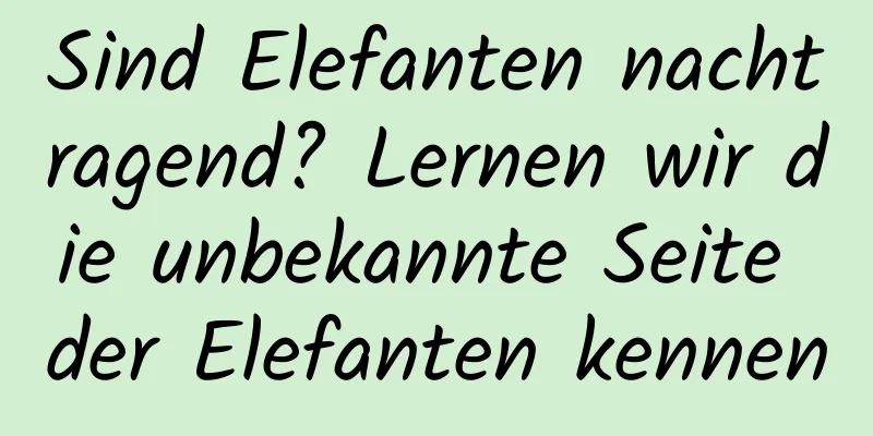 Sind Elefanten nachtragend? Lernen wir die unbekannte Seite der Elefanten kennen