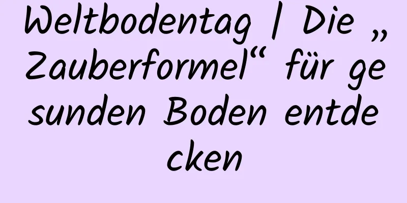 Weltbodentag | Die „Zauberformel“ für gesunden Boden entdecken