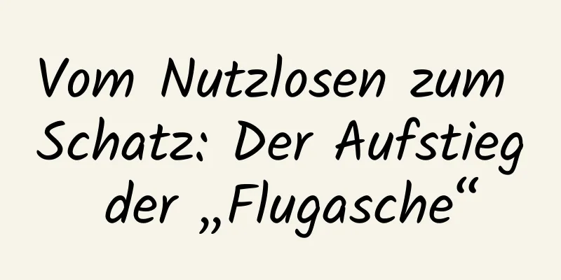 Vom Nutzlosen zum Schatz: Der Aufstieg der „Flugasche“