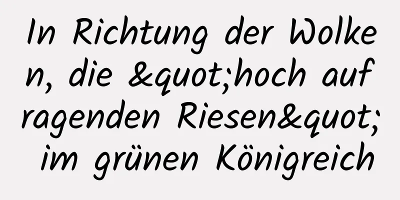 In Richtung der Wolken, die "hoch aufragenden Riesen" im grünen Königreich