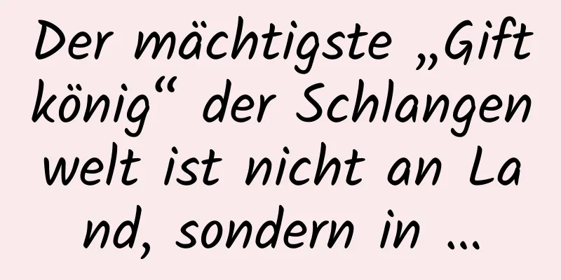 Der mächtigste „Giftkönig“ der Schlangenwelt ist nicht an Land, sondern in …
