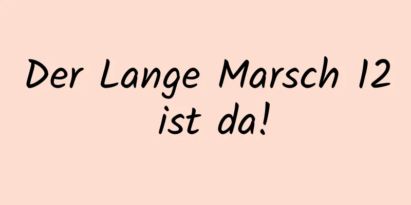 Der Lange Marsch 12 ist da!