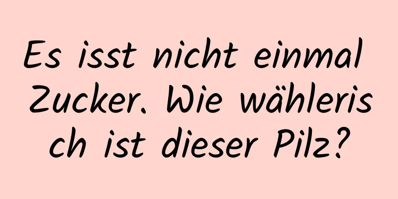 Es isst nicht einmal Zucker. Wie wählerisch ist dieser Pilz?