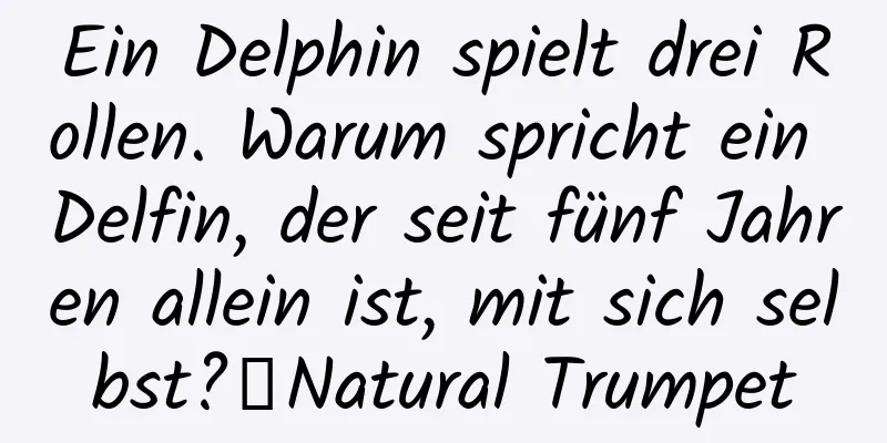 Ein Delphin spielt drei Rollen. Warum spricht ein Delfin, der seit fünf Jahren allein ist, mit sich selbst?丨Natural Trumpet