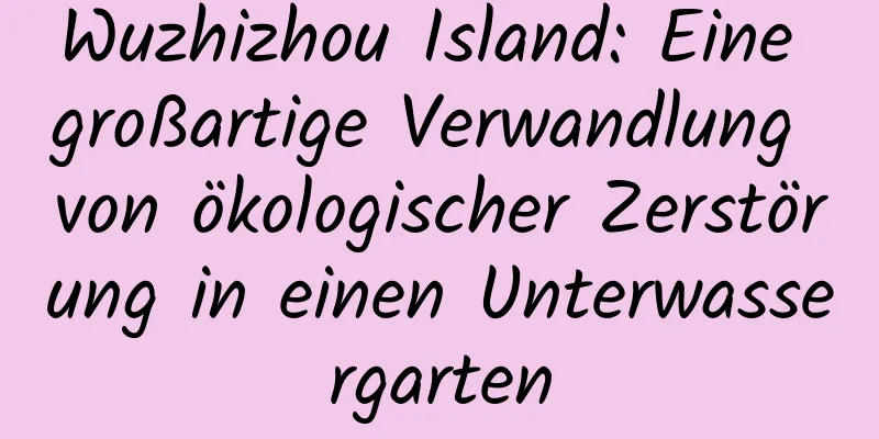Wuzhizhou Island: Eine großartige Verwandlung von ökologischer Zerstörung in einen Unterwassergarten